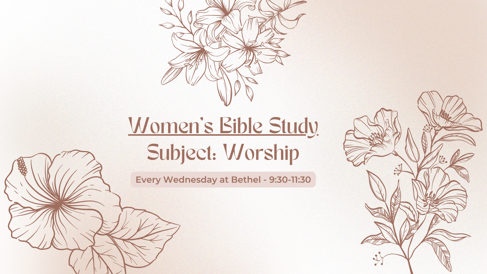 Women’s Bible Study