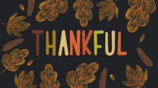 Thanksgiving Sunday